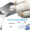 Dog Nail Clippers Pet Cat Nail Toe Trimmer Stainless Steel Grooming Tool Free Nail File Small Medium Large Dogs L Size - Blue & White