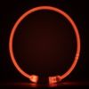 Pet luminous collar - Orange - Transparent Orange Light