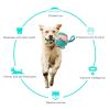 Dog Soccer Ball Interactive Pet Toys Foldable Ball Molar Toy Outdoor Training Ball for Puppy Dog Chew Dog Accessories - Green