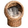 Simple Yet Practical Natural Braided Banana Leaf Elevated Cat Bed Basket With Cushion - Brown - 23.5" H