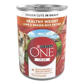 Purina ONE +Plus Lamb & Brown Rice Gravy Wet Dog Food 13 oz Can - Purina ONE