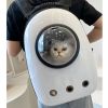 Pet Breathable Traveling Backpack - White