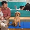 Pet Dog Cooling Mat Pressure Activated Gel Self Cooling Mat Pad Pet Cooling Bed Mats Portable Pet Cooling Mat L Size - XL