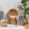 Simple Yet Practical Natural Braided Banana Leaf Elevated Cat Bed Basket With Cushion - Brown - 23.5" H