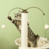 Kitten Activity Center With Condo Modern Cat Tree Tower Cat Activity Tower - Beige A - Pets