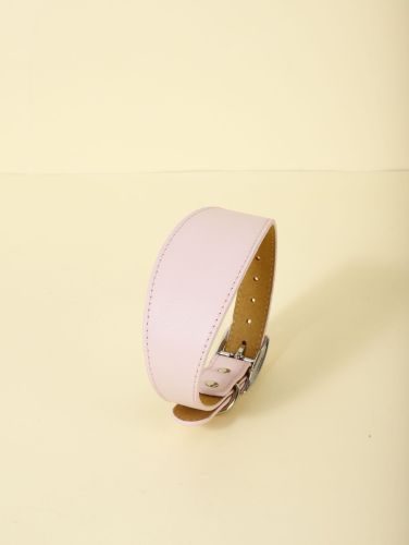 New Pet Casual Adjustable Collar